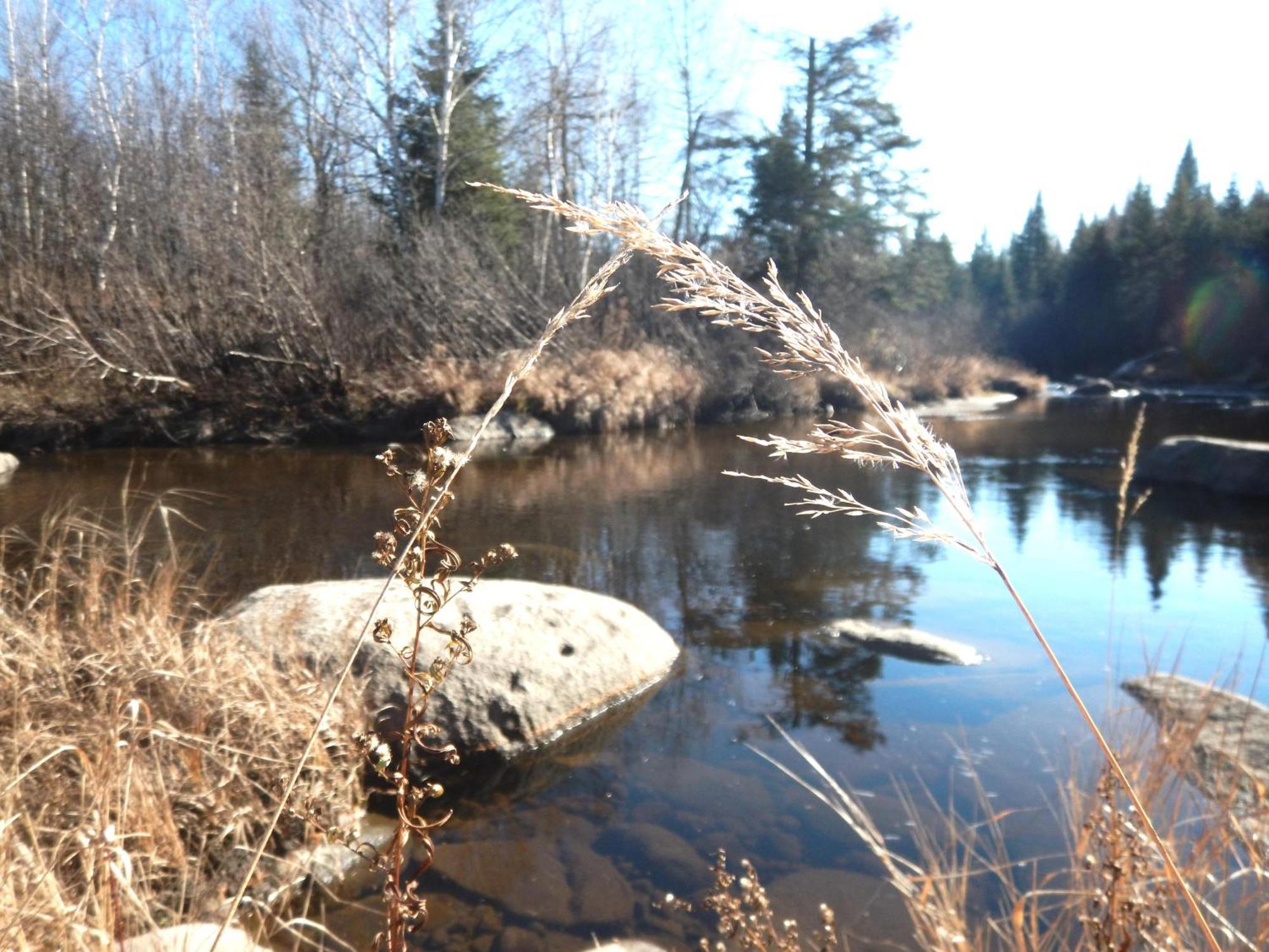 Aux Tipis De La Riviere Sauvage Saint Romain Exterior foto