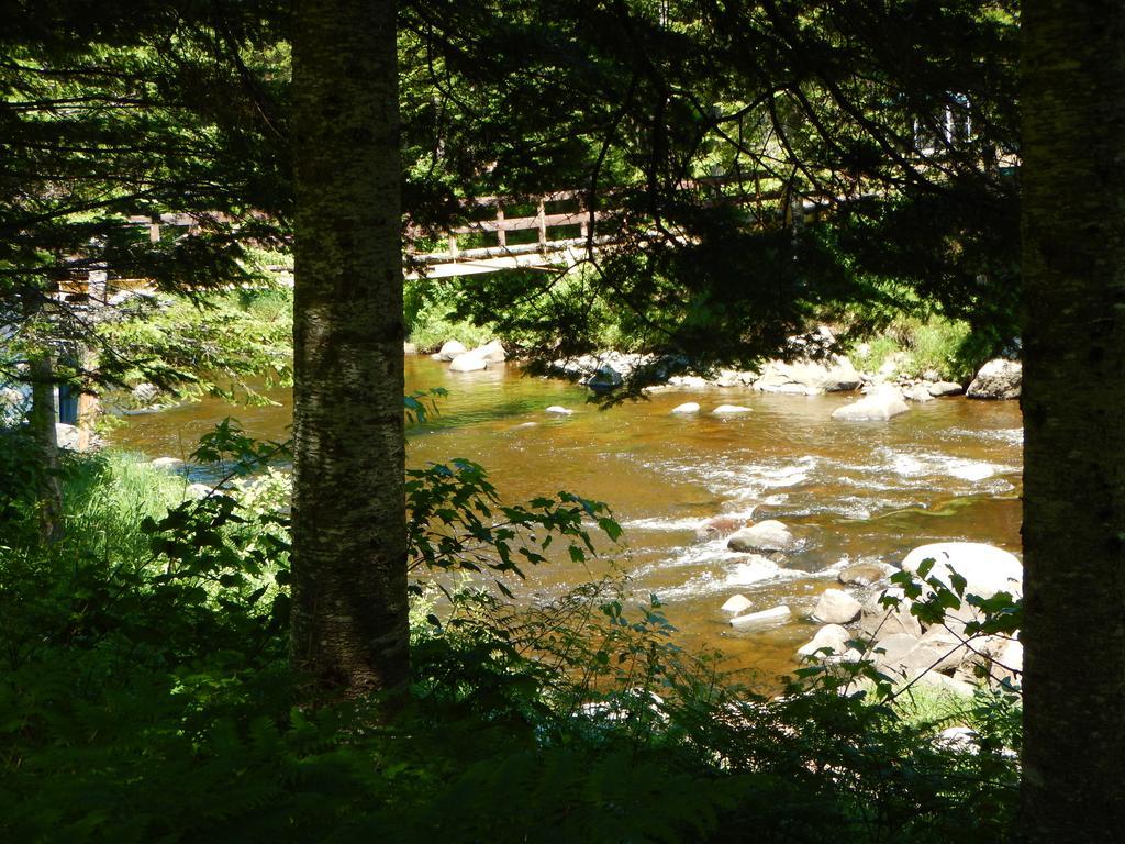 Aux Tipis De La Riviere Sauvage Saint Romain Quarto foto